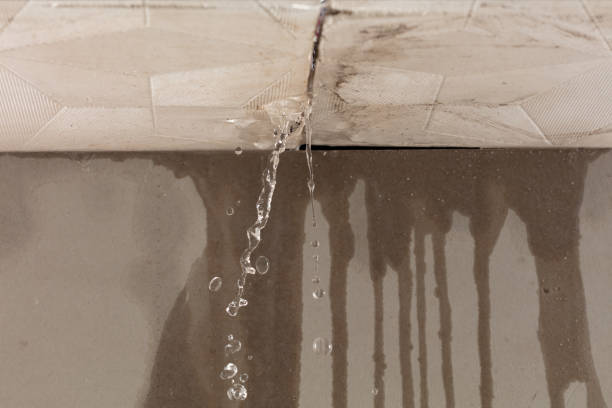 Professional Water Damage Repair technician working in Silver Creek, MS